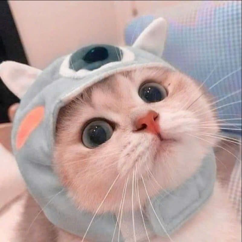 Chat
